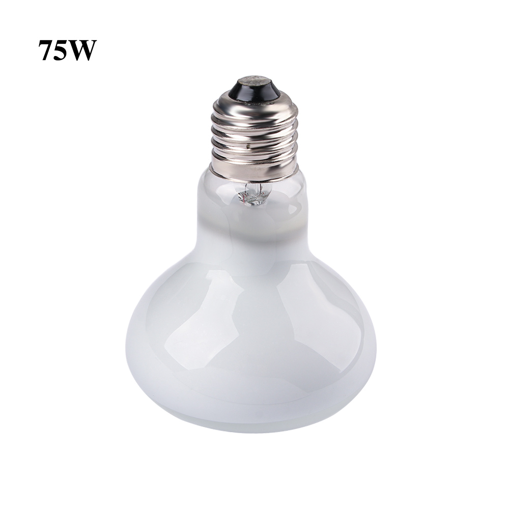 Basking Bulb Halogen - Kaplumbağa Isıtma Lambası Halojen Ampul Isıtıcı
