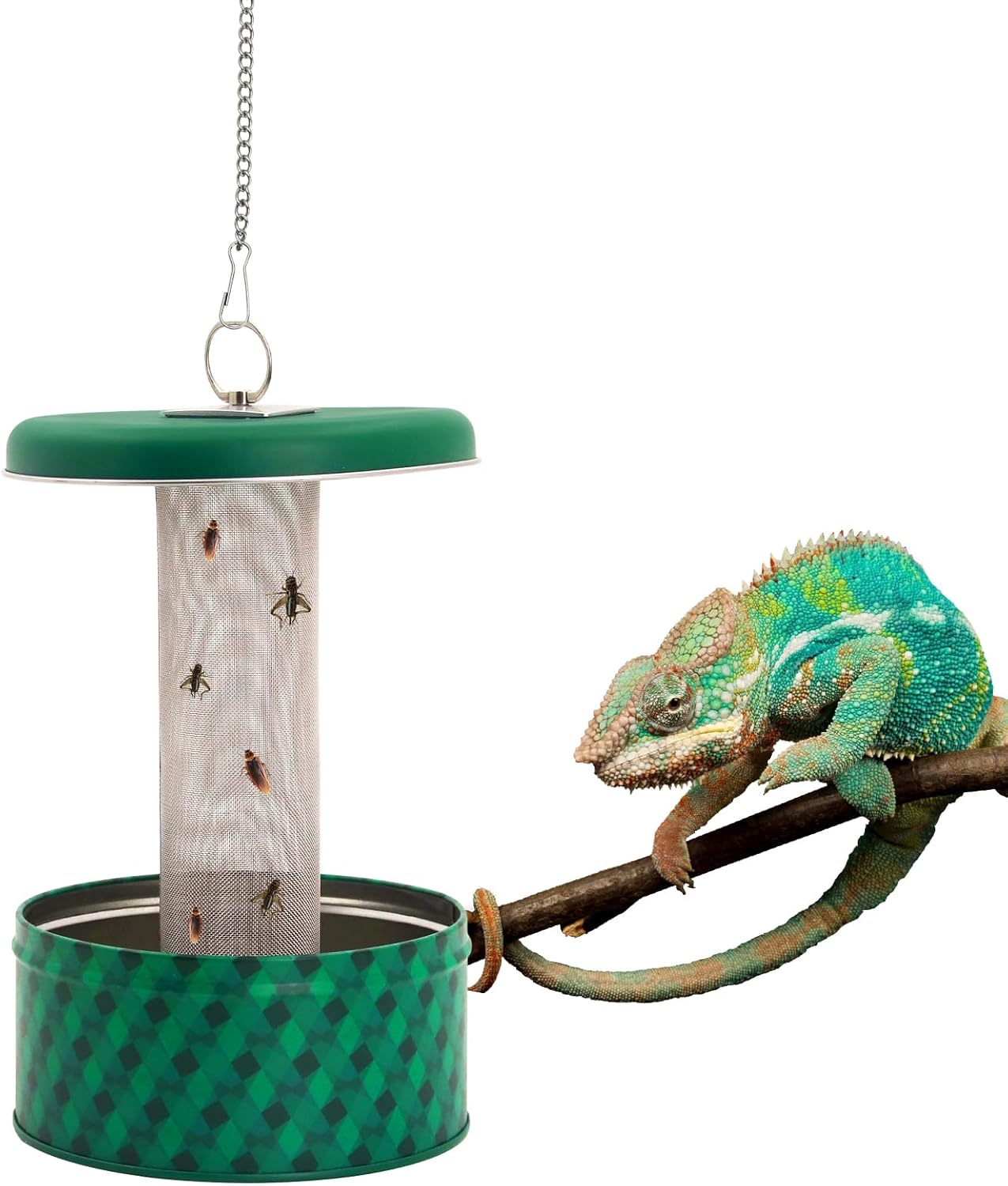 Water Dish Reptile - Sakallı Ejderha Besleyici Bukalemun Böcek Kabı
