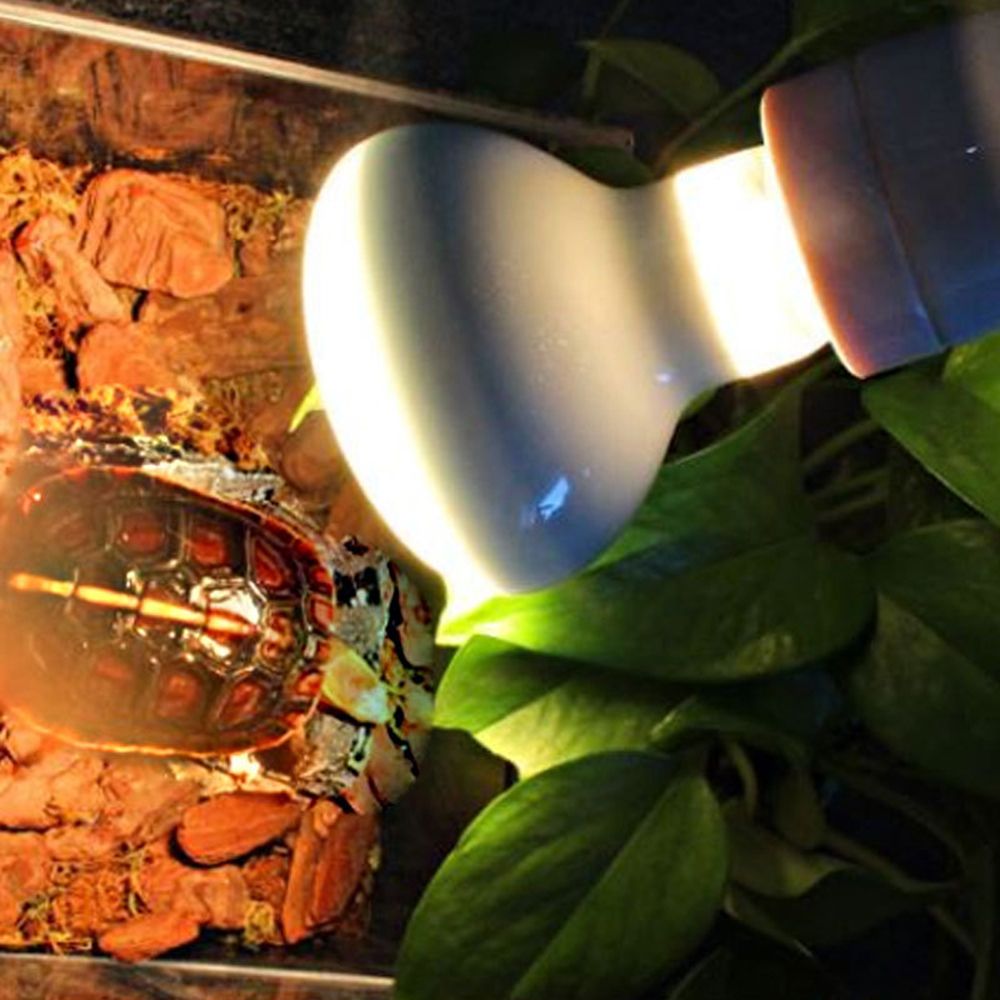 Kertenkele Isıtıcı Sıcaklık Ko - Basking Bulb Halogen incelemesi ve fiyatı