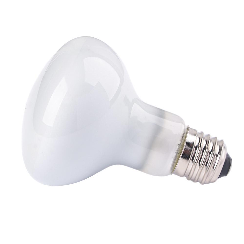 Amfibiler için Isıtıcı Isı Lam - Basking Bulb Halogen incelemesi ve fiyatı