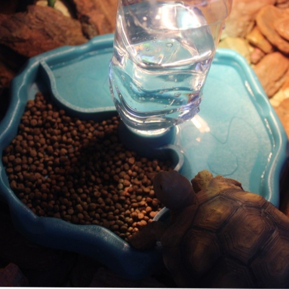 Yeni Çıkarılabilir Sürüngen Be - Water Dish Reptile incelemesi ve fiyatı