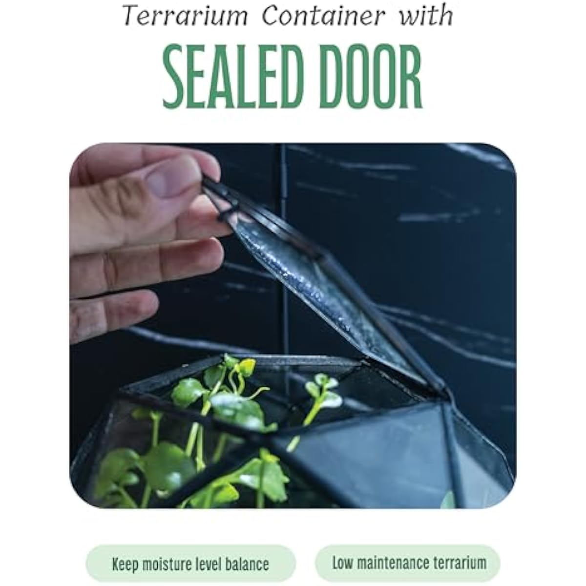 Menteşeli Kapılı Geometrik Kür - Glass Door Hinge incelemesi ve fiyatı