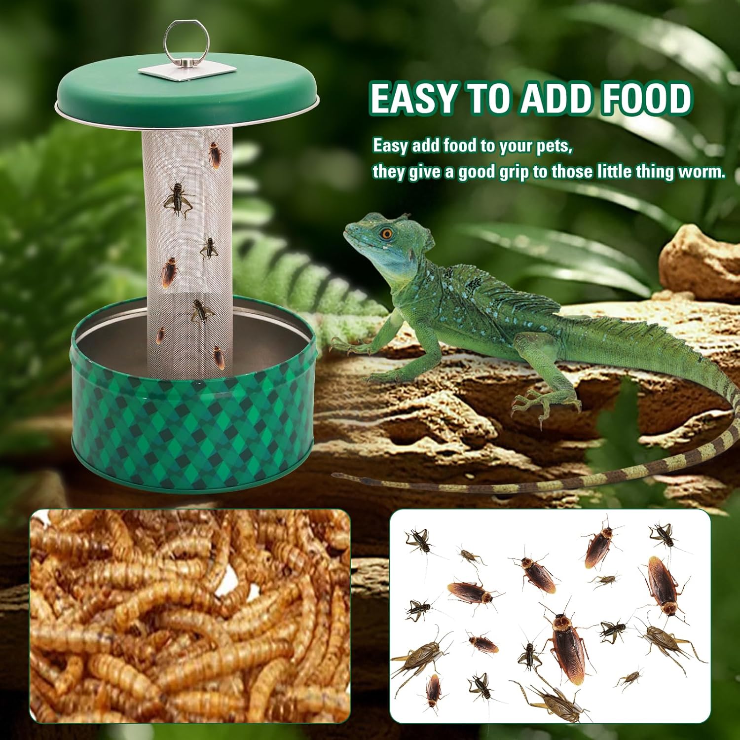 Sakallı Ejderha Besleyici Buka - Water Dish Reptile incelemesi ve fiyatı
