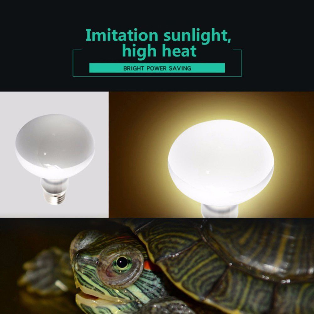 Amfibiler için Isı Lambası Sıc - Basking Bulb Halogen incelemesi ve fiyatı