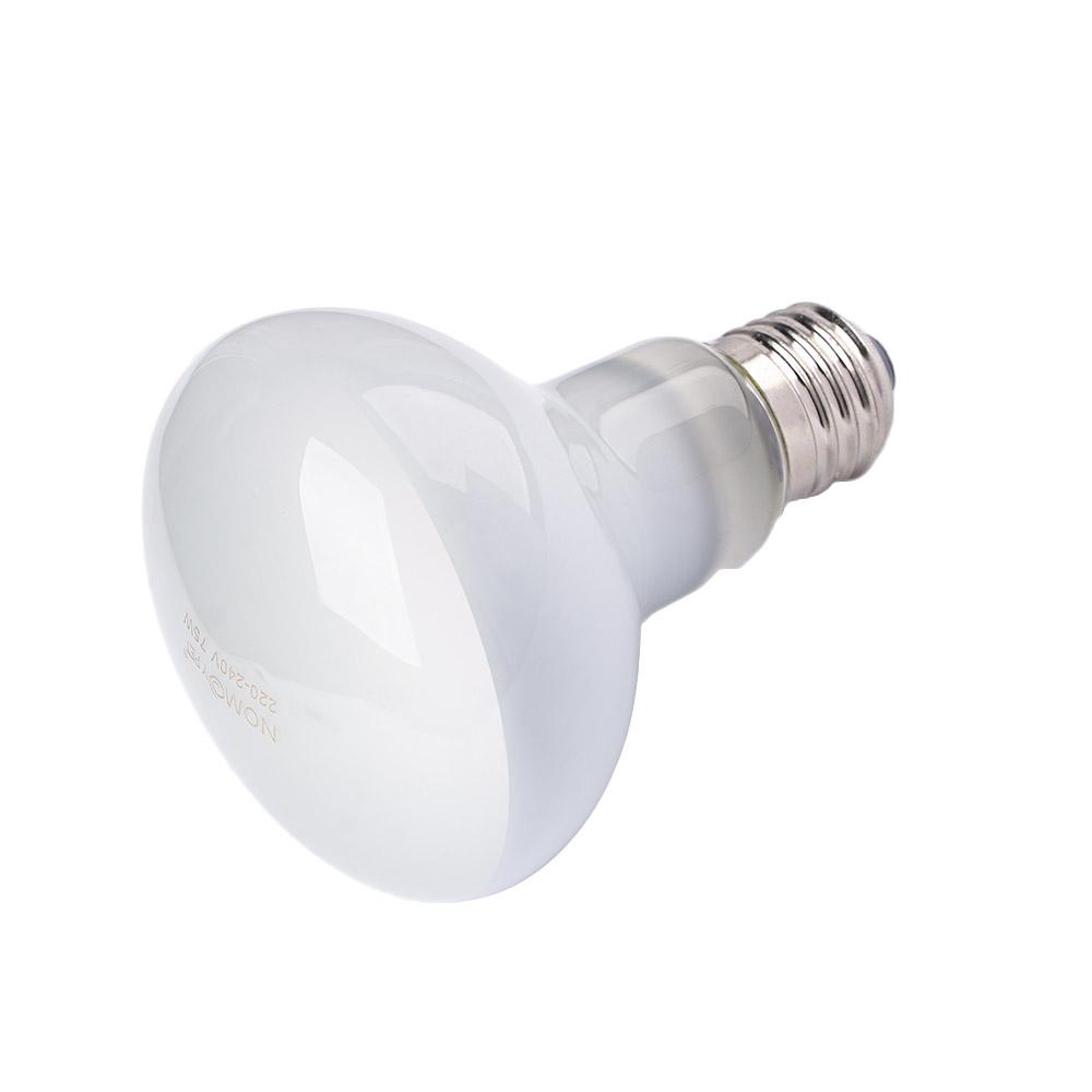 Kaplumbağa Isıtıcı Isı Lambası - Basking Bulb Halogen incelemesi ve fiyatı