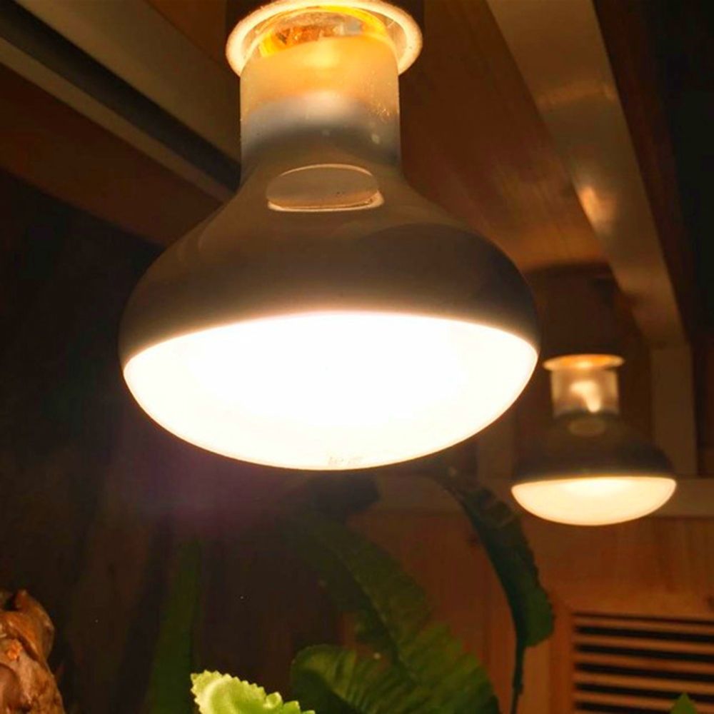 Kaplumbağa Isıtıcı Isı Lambası - Basking Bulb Halogen incelemesi ve fiyatı