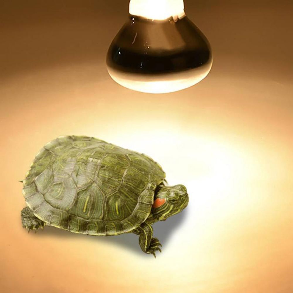 Kaplumbağa Isıtıcı Isı Lambası - Basking Bulb Halogen incelemesi ve fiyatı