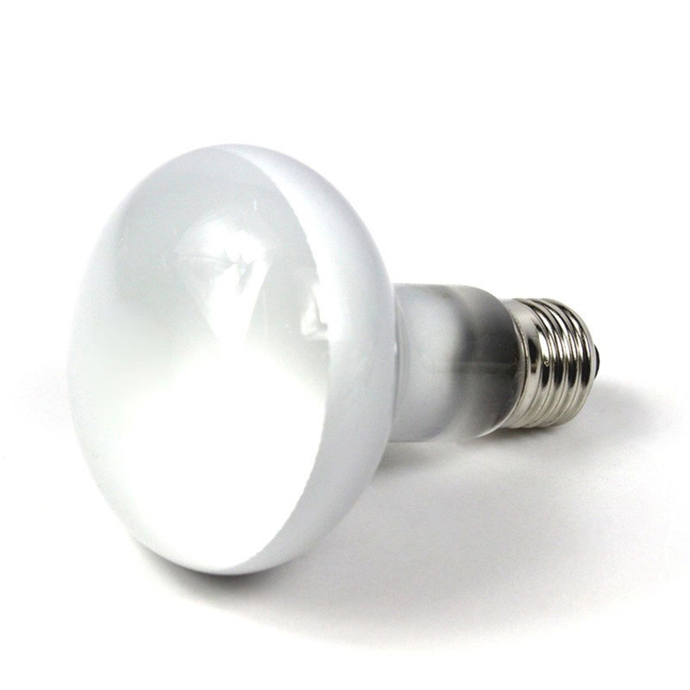 Kaplumbağa Isıtıcı Isı Lambası - Basking Bulb Halogen incelemesi ve fiyatı